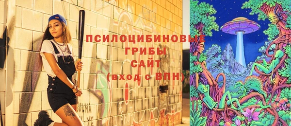 mdpv Бугульма