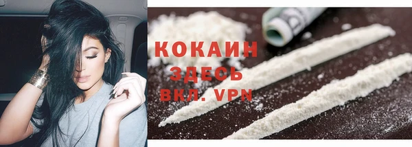 гашик Бородино