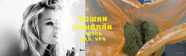 гашик Бородино