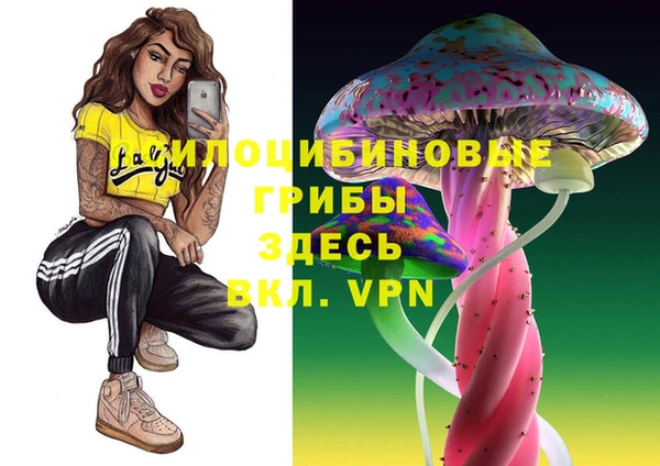 гашик Бородино