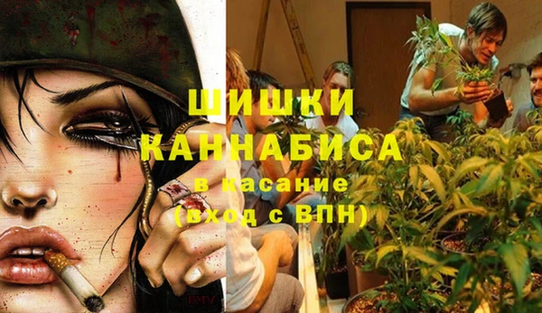 гашик Бородино