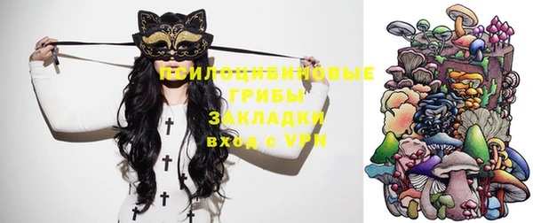 гашик Бородино